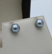 Cultured Black Pearl 8.9 mm Stud Earrings