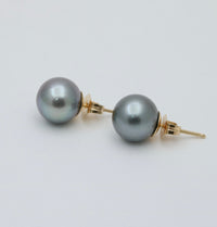 Cultured Black Pearl 8.9 mm Stud Earrings