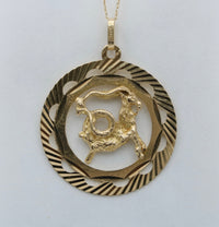 Large 10K Gold Radiant Zodiac Capricorn Disc Charm