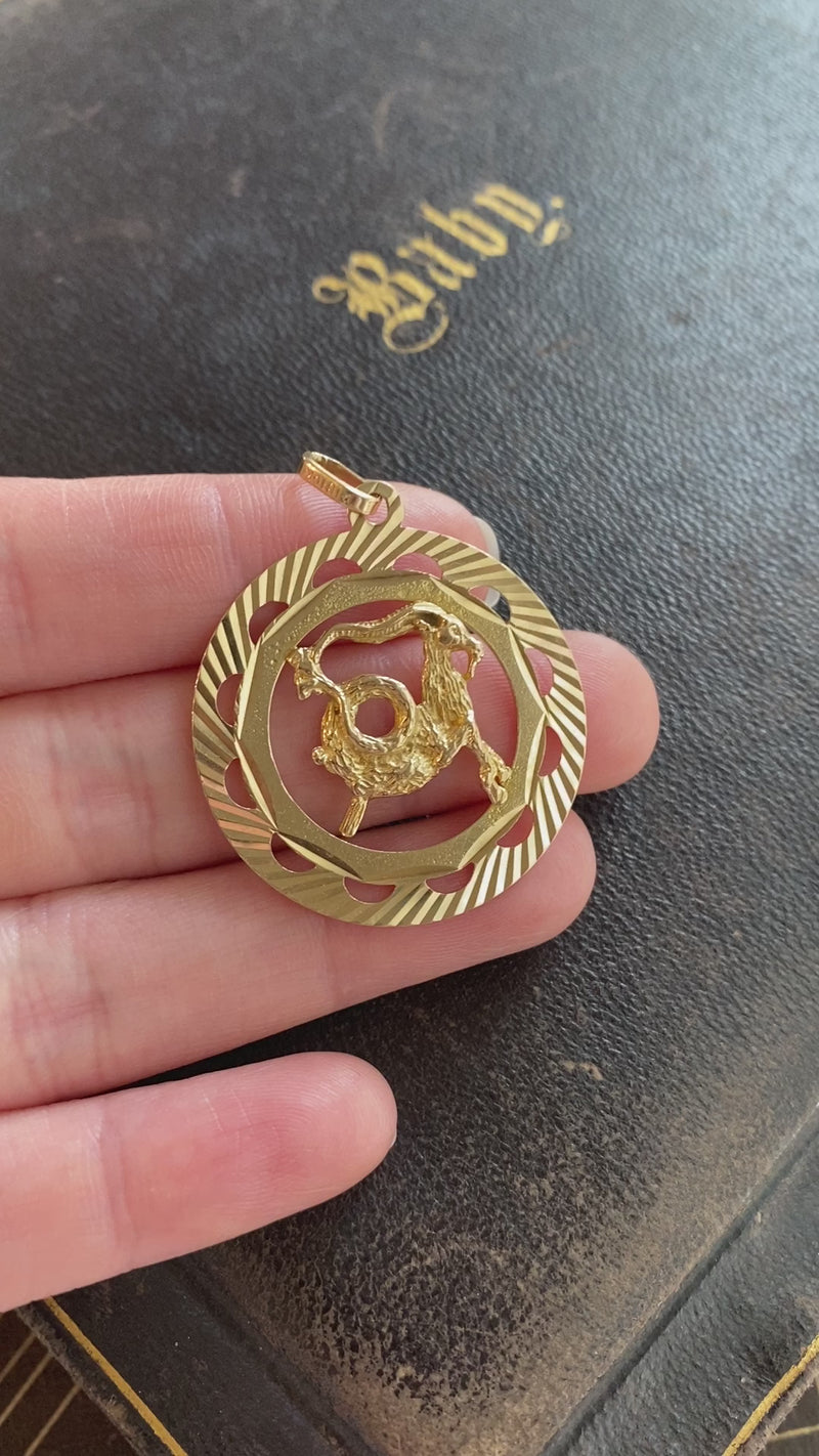 Large 10K Gold Radiant Zodiac Capricorn Disc Charm