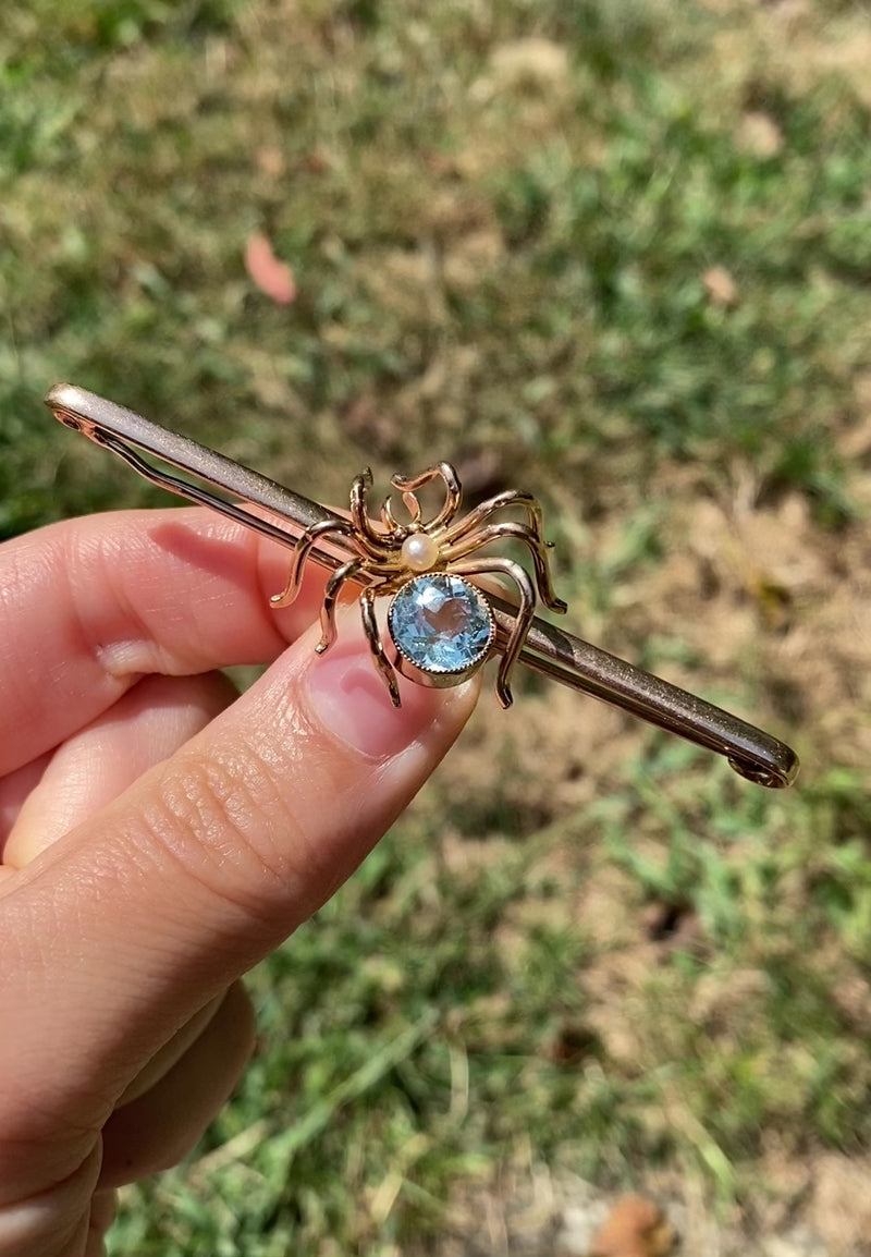 Victorian Sapphire & Diamond Spider brooch